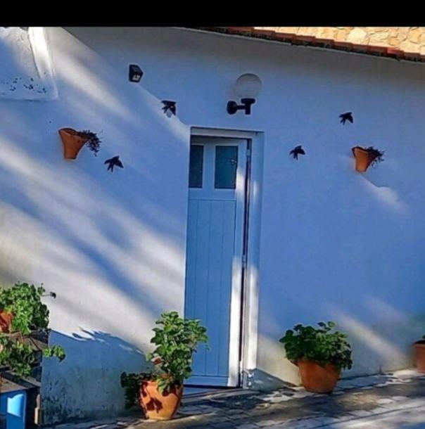 Anexo Na Quintinha Apartment Caldas Da Rainha Luaran gambar