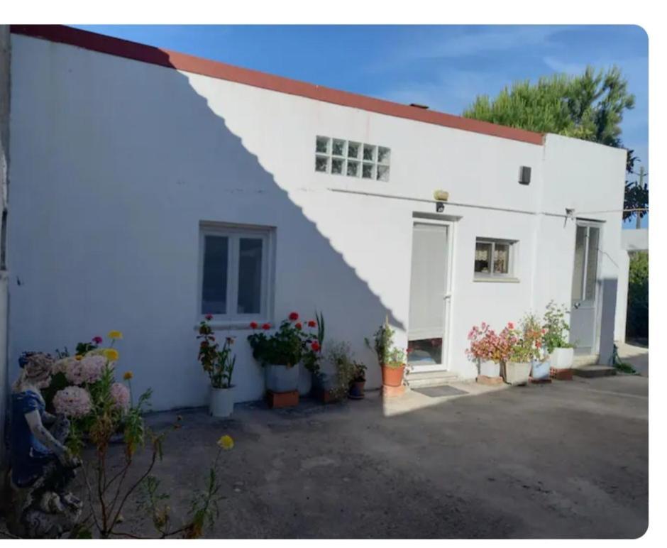 Anexo Na Quintinha Apartment Caldas Da Rainha Luaran gambar